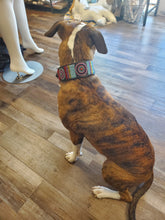 Load image into Gallery viewer, Bijou Beaded Dog Collar