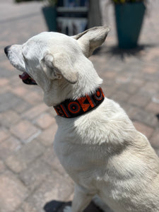 Marula Beaded Dog Collar