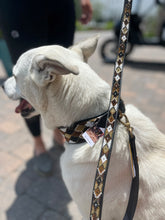 Load image into Gallery viewer, Earth Argyle Beaded Dog Collar