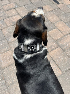 Shades of Grey Beaded Dog Collar