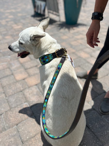 Peacock Argyle Beaded Dog Collar