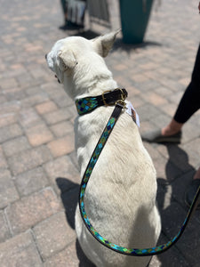 Peacock Argyle Beaded Dog Collar