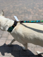 Load image into Gallery viewer, Peacock Argyle Beaded Dog Collar