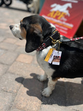 Load image into Gallery viewer, Maasai Shield Argyle Beaded Dog Collar