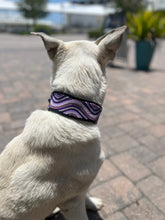 Load image into Gallery viewer, The Purple Wave Beaded Dog Collar