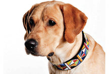 Load image into Gallery viewer, &quot;Primary&quot; Beaded Dog Collar