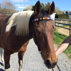 TKC Horse Browbands - Black Leather - Exceptional Equestrian 
