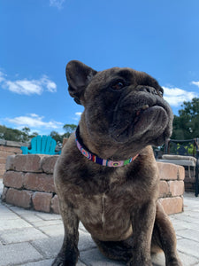 Posey Beaded Dog Collar