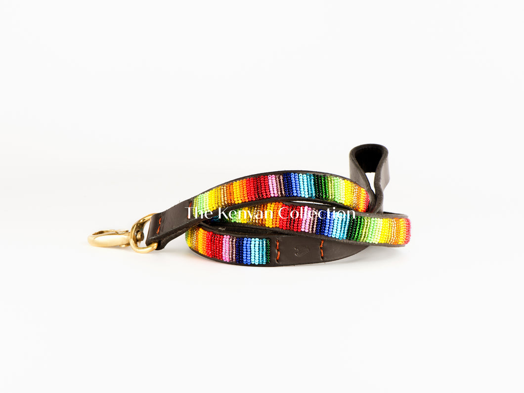 Rainbow Beaded Dog Lead