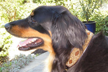 Load image into Gallery viewer, &quot;Cheetah&quot; Beaded Dog Collar