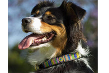 Load image into Gallery viewer, &quot;Meadow&quot; Beaded Dog Collar