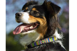 "Meadow" Beaded Dog Collar