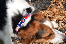 Load image into Gallery viewer, &quot;Red White Blue&quot; Beaded Dog Collar