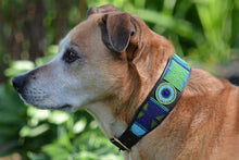 Load image into Gallery viewer, &quot;Peacock&quot; Beaded Dog Collar