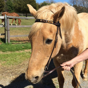 Horse Browbands