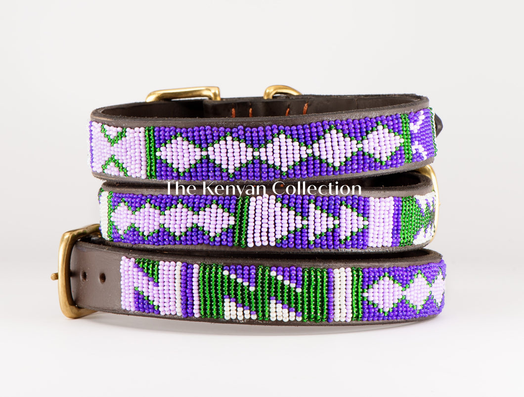 Yesterday, Today, Tomorrow (YTT) Beaded Dog Collar