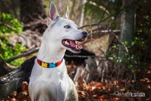 Load image into Gallery viewer, Flower Power Beaded Dog Collar