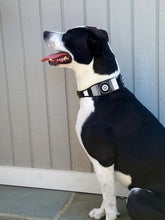 Load image into Gallery viewer, Shades of Grey Beaded Dog Collar